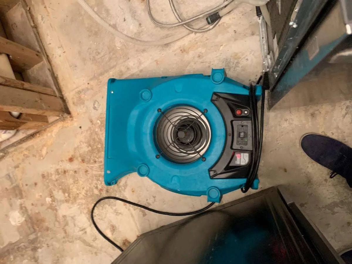 Air mover drying equipment for Mold Remediation & Removal in Elburn